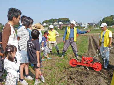 第５回菜の花農業体験教室開催　2011.10.8（土）_c0145581_1648403.jpg