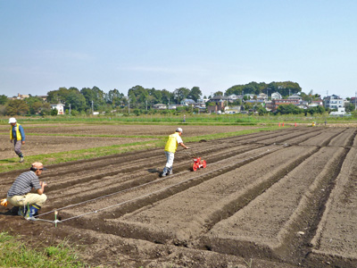 第５回菜の花農業体験教室開催　2011.10.8（土）_c0145581_1650826.jpg