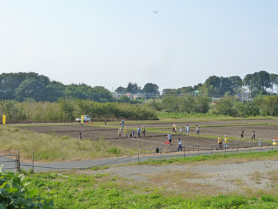 第５回菜の花農業体験教室開催　2011.10.8（土）_c0145581_1654545.jpg