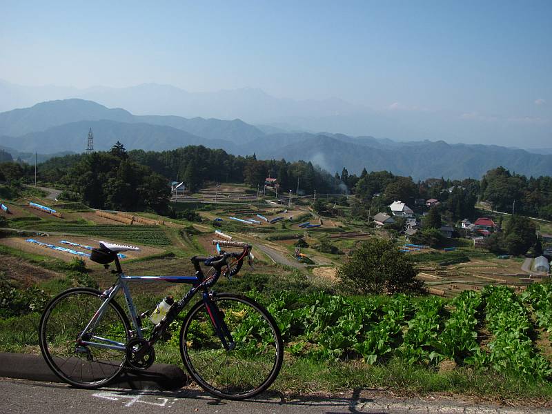 d0036883_10533688.jpg