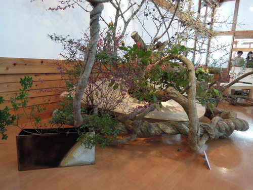 いけばな那能津会さんの華展へ。_d0195183_7512652.jpg