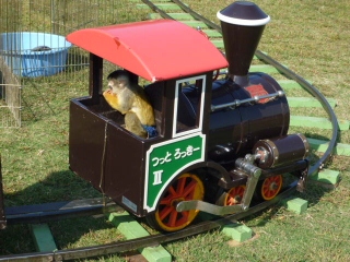 a0206984_11215089.jpg
