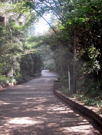 d0085887_2155178.jpg