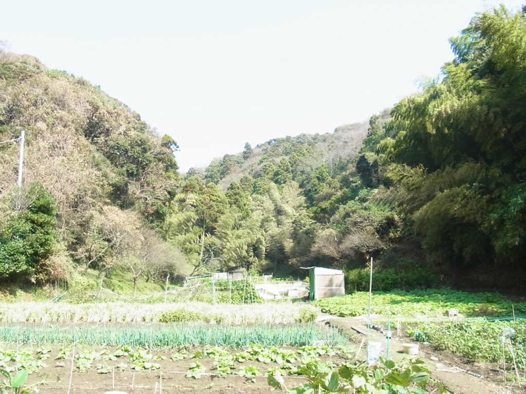 e0107493_1921917.jpg