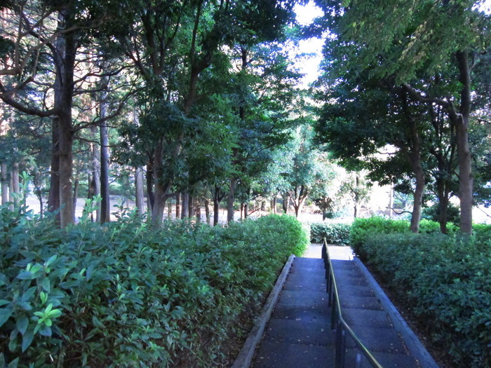 d0040395_1824593.jpg