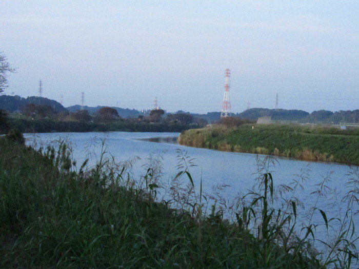 d0040395_189175.jpg