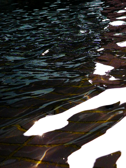 a0206496_5121954.jpg