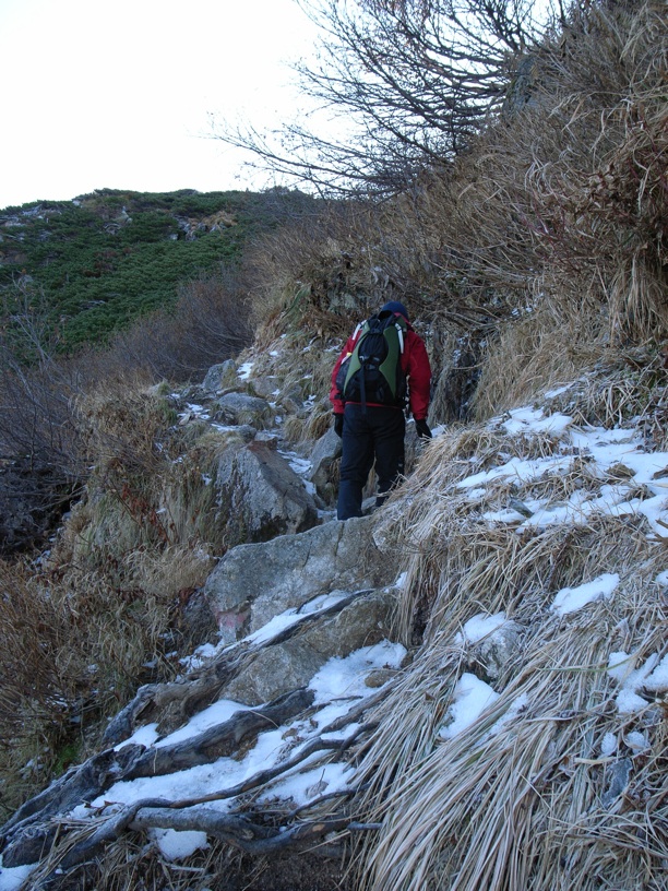 d0242696_14242127.jpg
