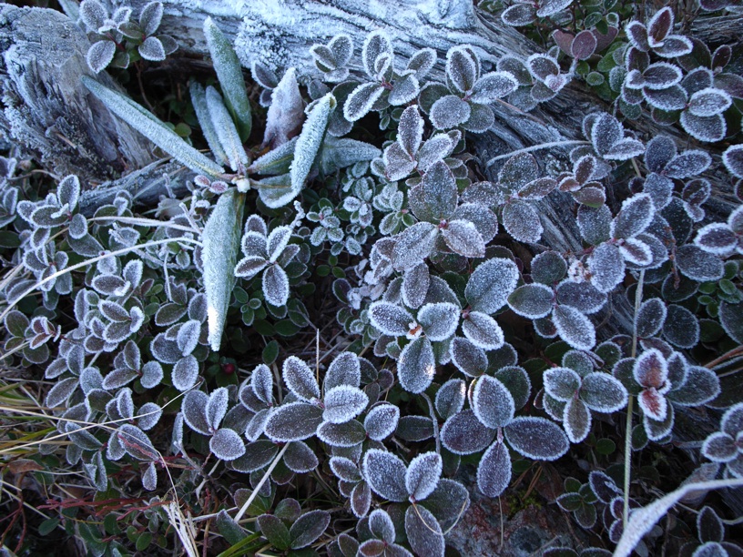 d0242696_14242499.jpg