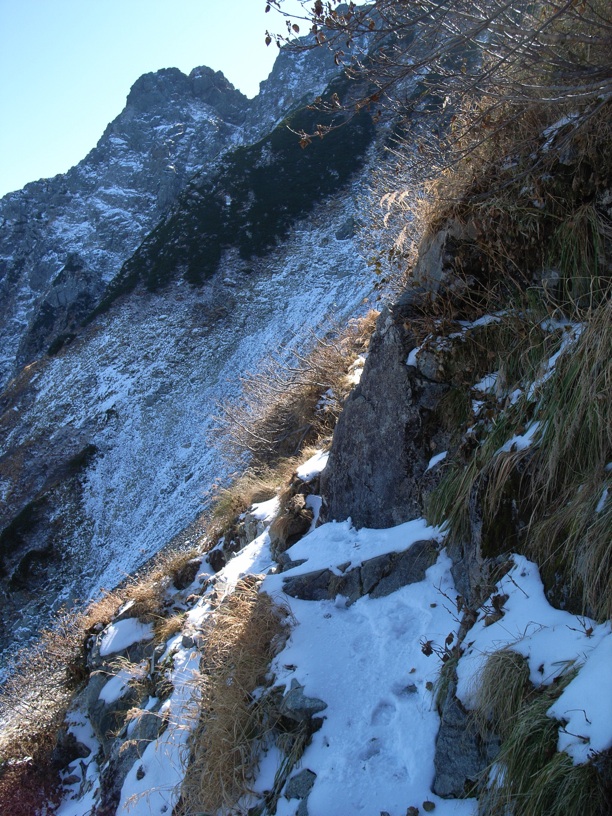 d0242696_14242823.jpg