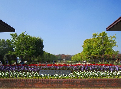 e0227996_22411114.jpg