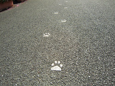 e0227996_22434095.jpg