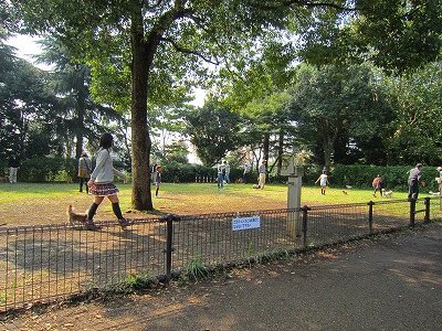 e0227996_2249394.jpg