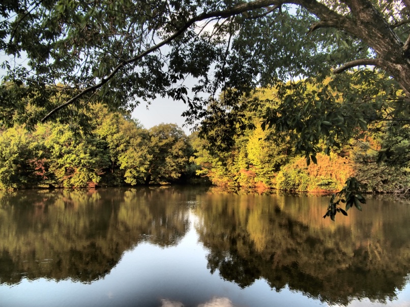 c0187503_207791.jpg