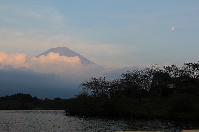 a0188405_8473685.jpg