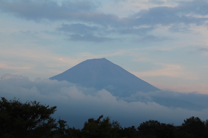 a0188405_8483420.jpg