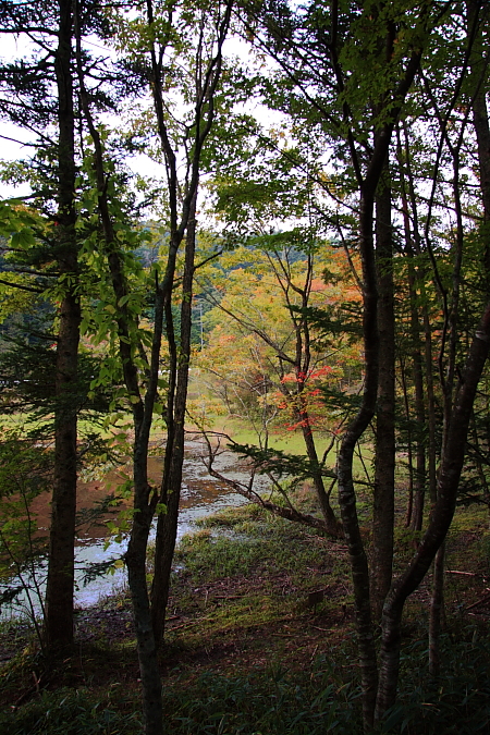 e0174008_18261731.jpg