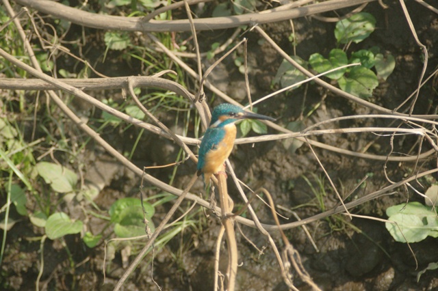 c0143411_2112125.jpg