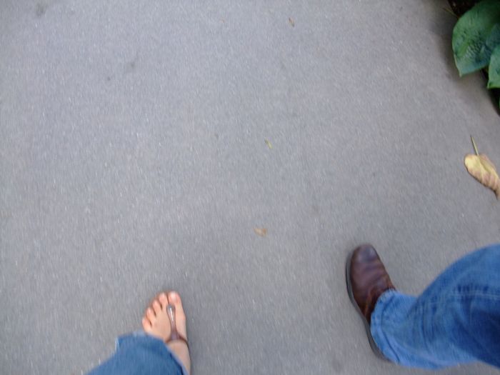 c0167813_173412.jpg