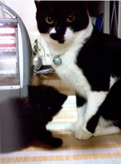 d0019913_22533772.jpg