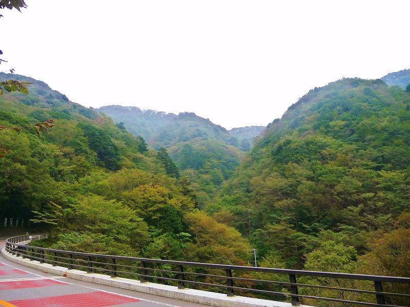 f0182513_21103119.jpg