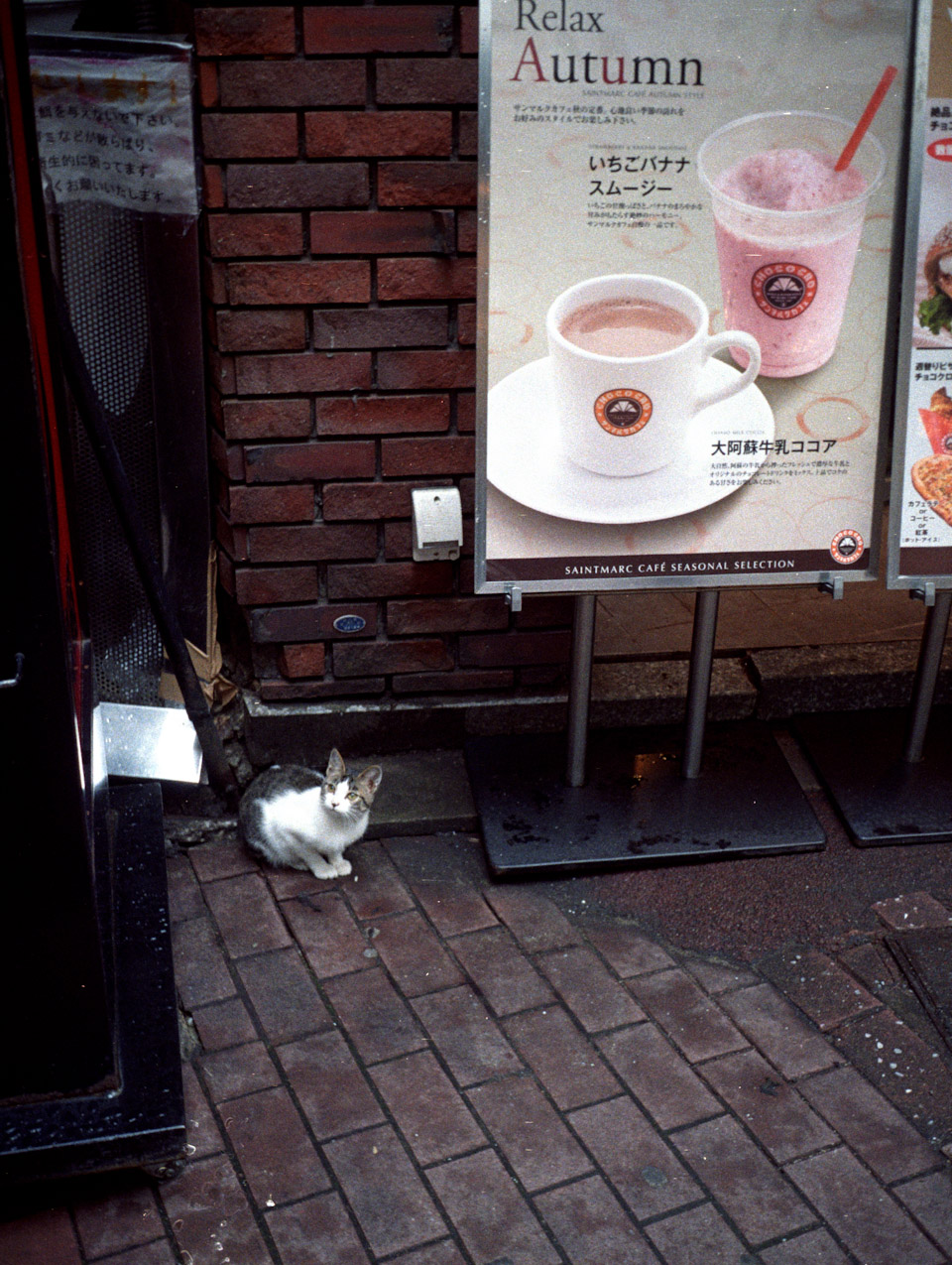 OLYMPUS-PEN 初撮り_b0125014_2046959.jpg