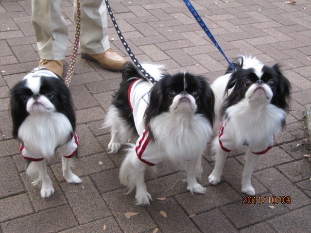 c0200916_23242134.jpg