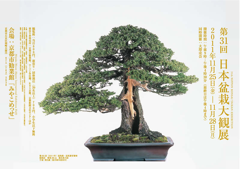 第31回『日本盆栽大観展』_c0201116_18263589.jpg