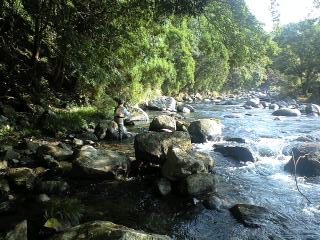 d0168318_2230259.jpg