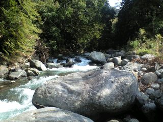 d0168318_22335124.jpg