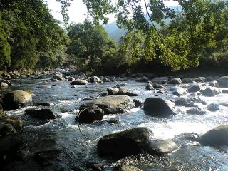 d0168318_2233930.jpg