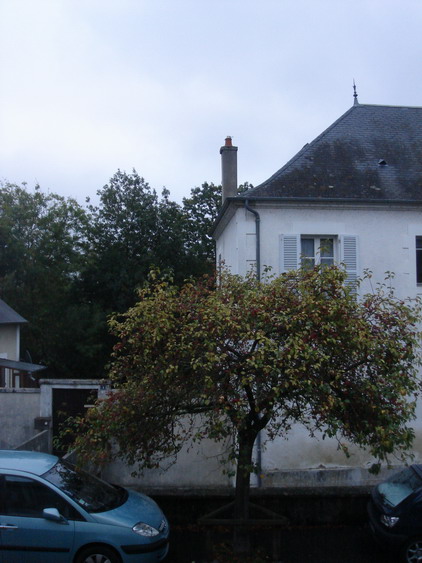 c0124619_60412.jpg
