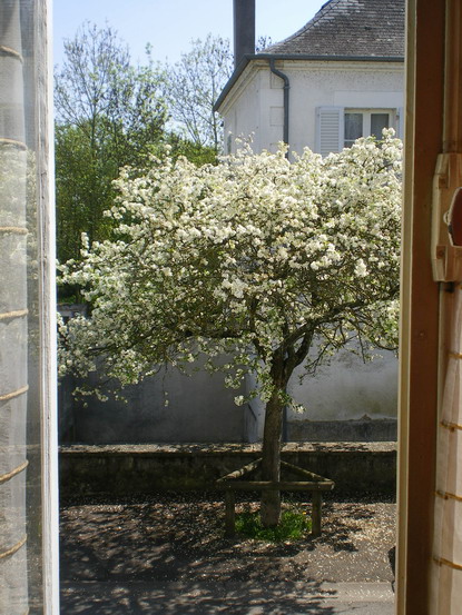 c0124619_63531.jpg