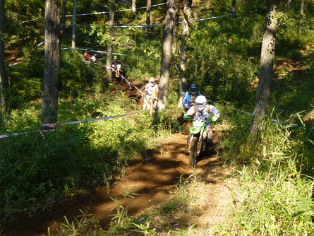 c0223419_1550037.jpg