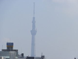 おのぼりさんツアー_d0174920_22413987.jpg