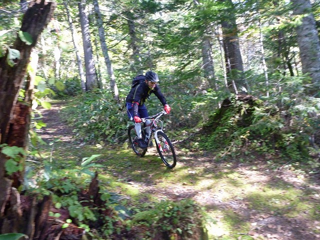 c0225621_21281731.jpg
