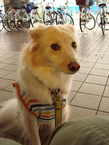 f0035927_12194539.jpg