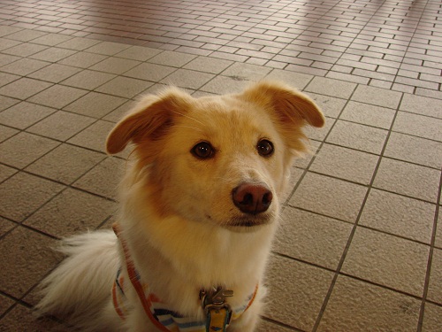 f0035927_12202871.jpg