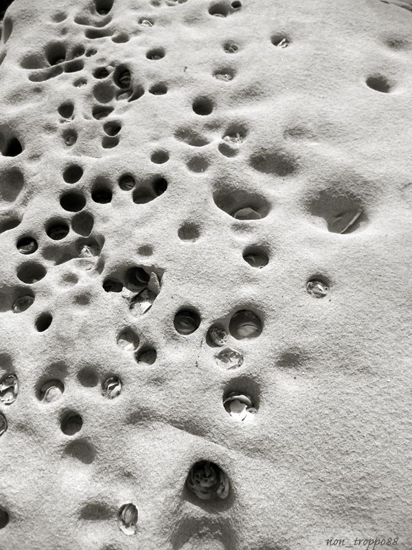 d0086329_2255528.jpg