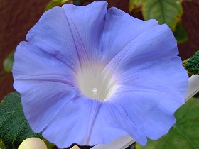 a0156230_1232343.jpg