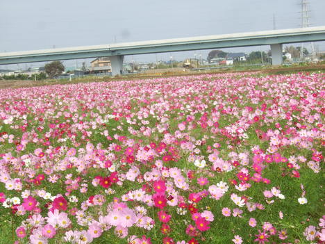 b0137932_19302991.jpg