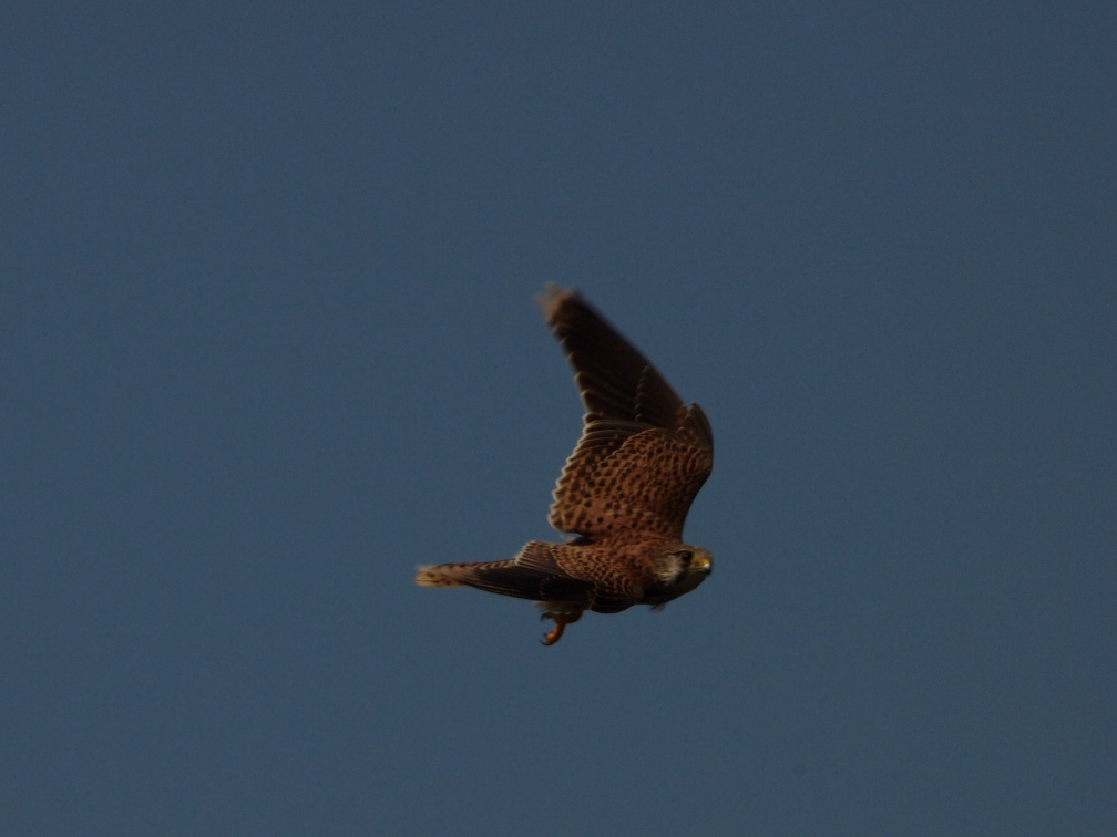 b0201233_1345936.jpg