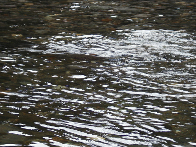 d0055236_14162389.jpg