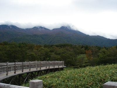 d0055236_14474121.jpg