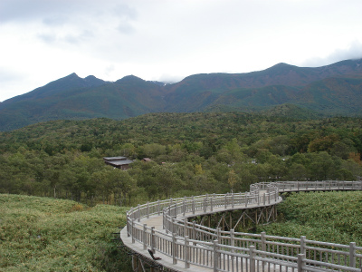 d0055236_14521150.jpg