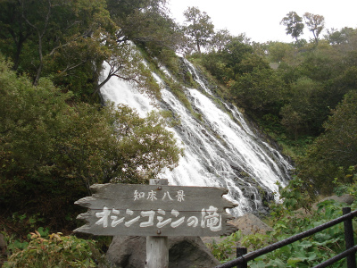 d0055236_16245385.jpg