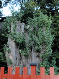 c0097838_14462372.jpg