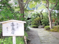 c0097838_1556276.jpg