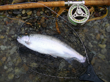 e0242439_20202185.jpg