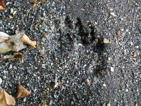 e0242439_2184384.jpg